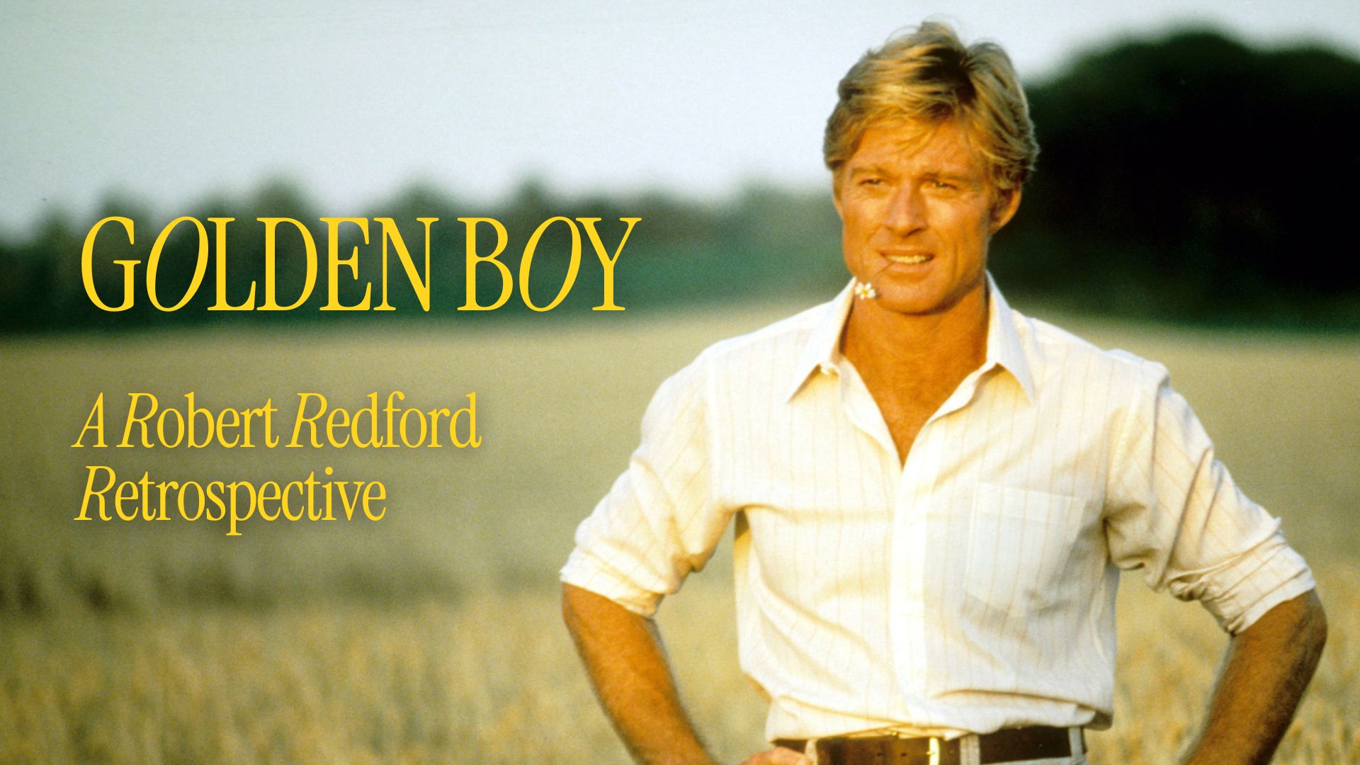 Golden Boy: A Robert Redford Retrospective