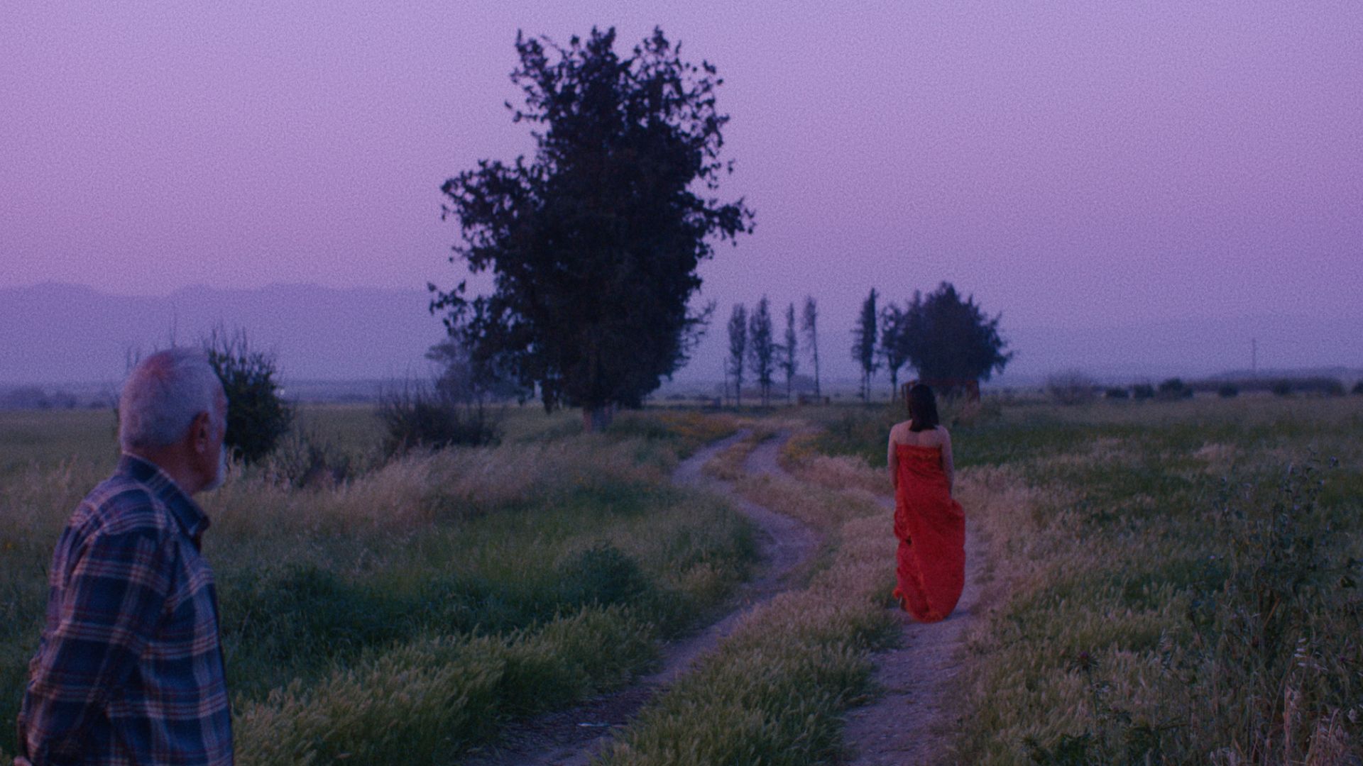 INTERNATIONAL SHORT FILM FESTIVAL OF CYPRUS AWARD WINNERS, 2020–2024, woman in red dress walking down path in field with man watching her walk away