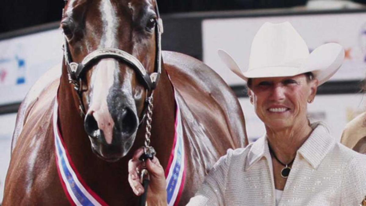 All the Queens Horses