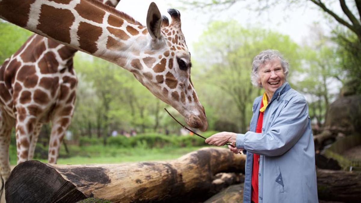Woman Who Loves Giraffes