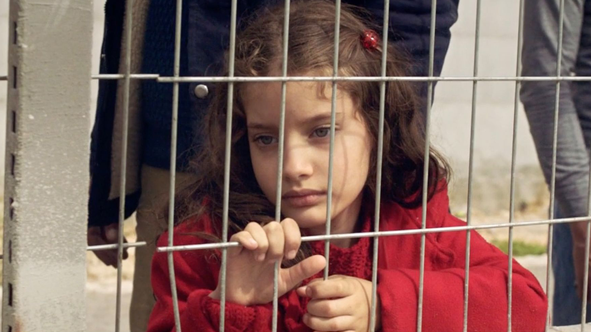Small child looking through a gate