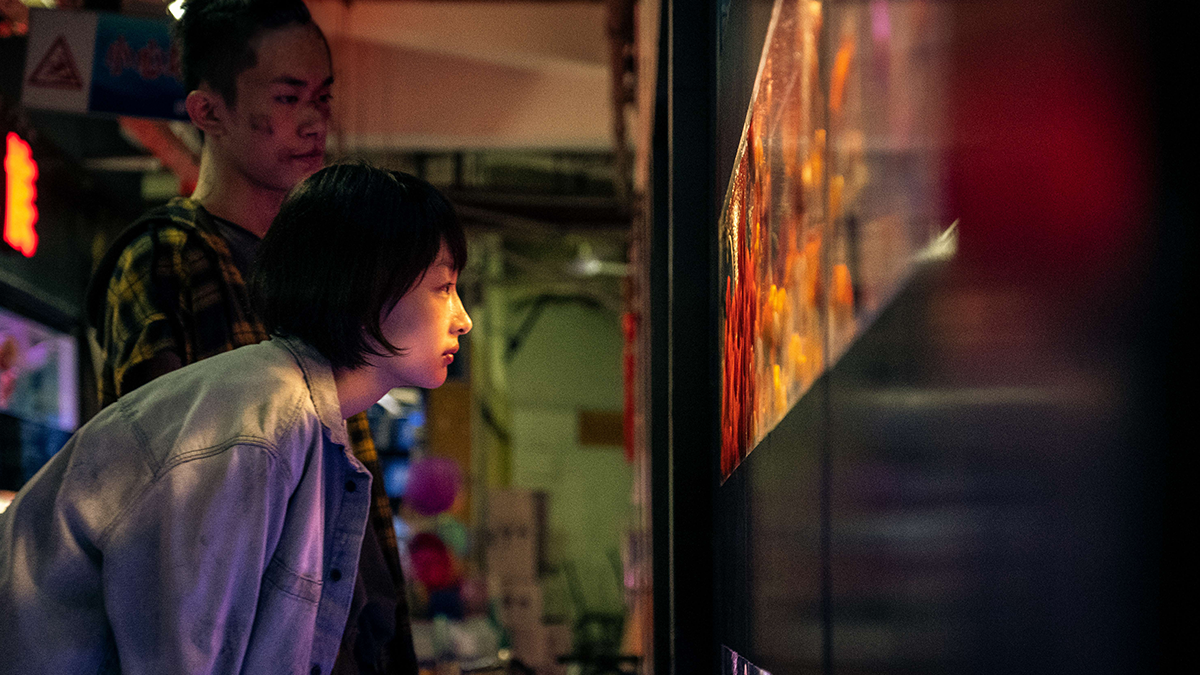 two people looking into a lighted box