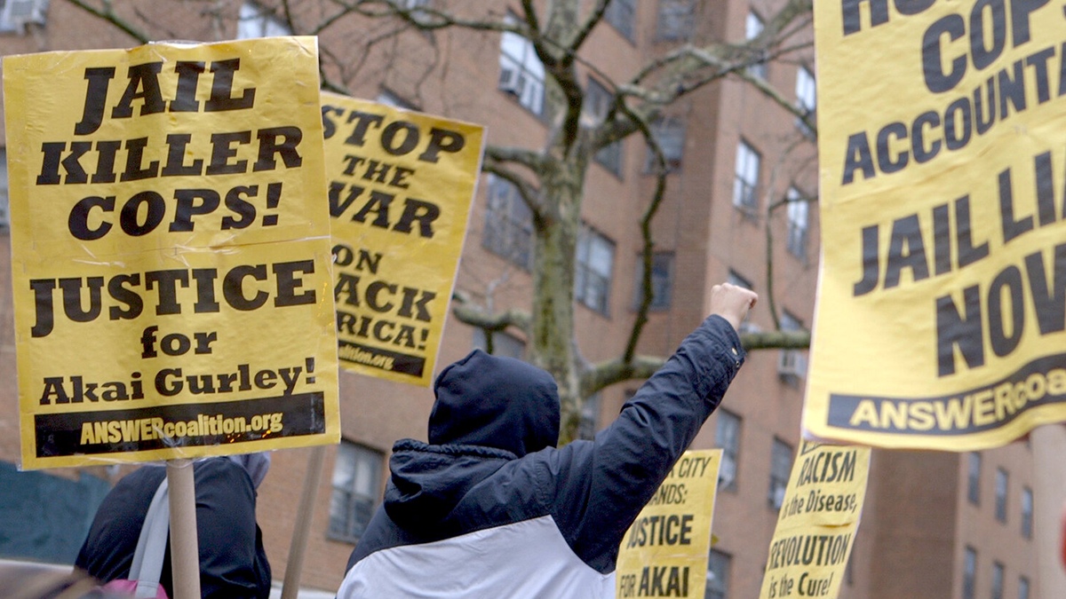 PERSON WITH FIST AND PROTEST SIGNS AROUND THEM