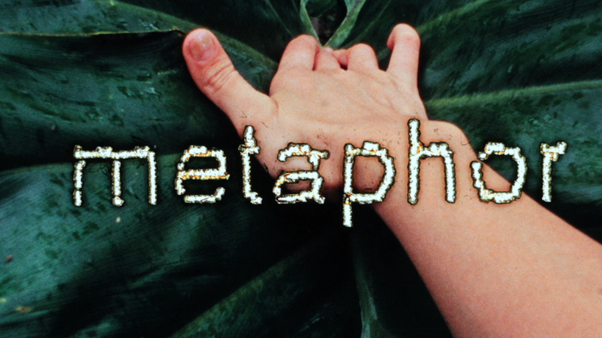 Nazlı Dinçel, Between Relating and Use, 2018. Image courtesy of the artist and Video Data Bank A hand sensually stroking a large green leaf overlaid with the word “metaphor.”