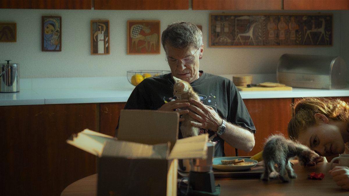 man in home opening box on table with kittens