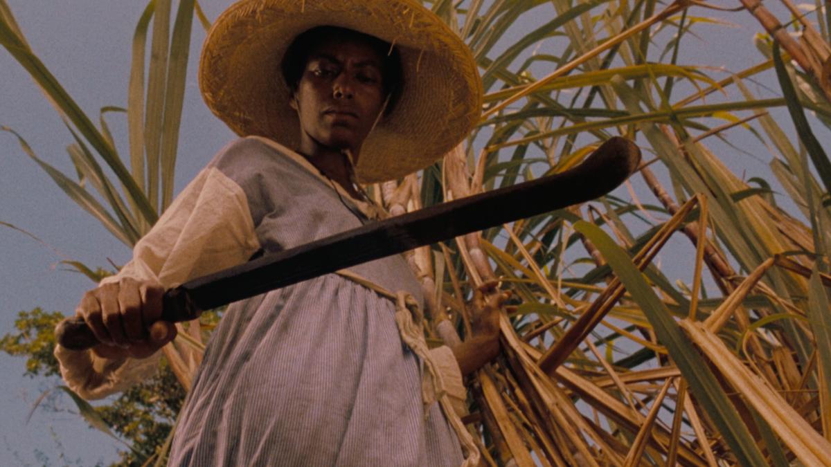 man holding sword in grass