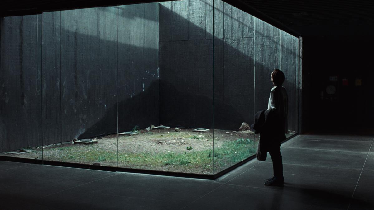person standing in the dark looking into large glass box