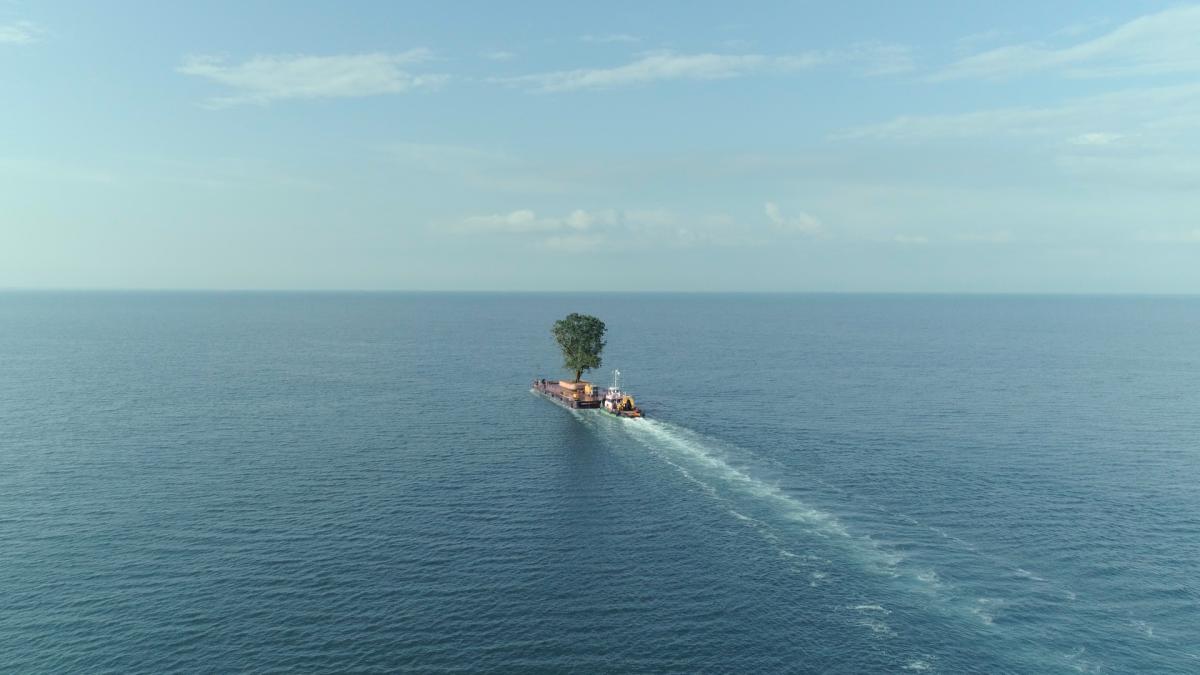 ship on the ocean carrying a large tree on deck