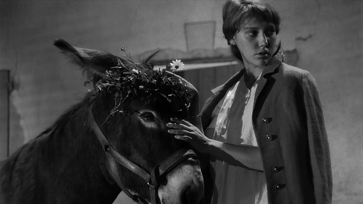 black and white image of woman in shawl with hand on donkey's head