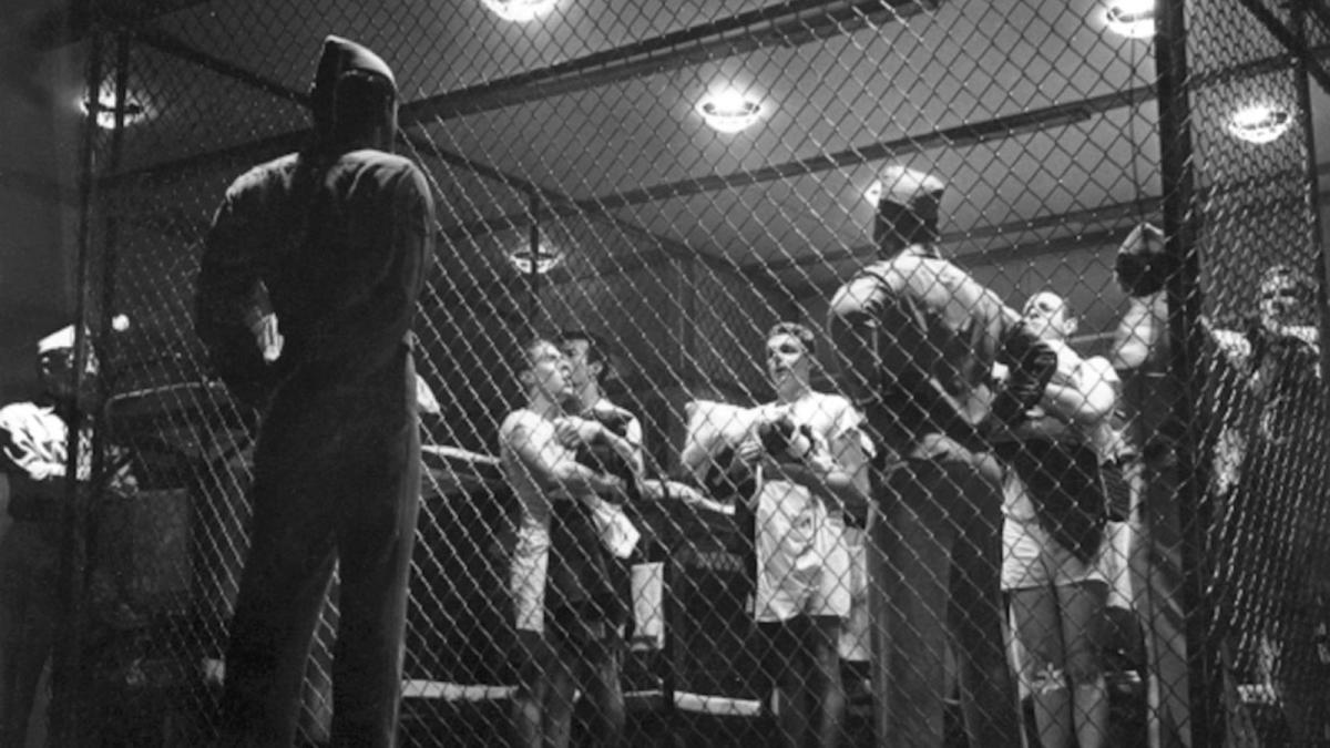 people in cage standing in semi circle
