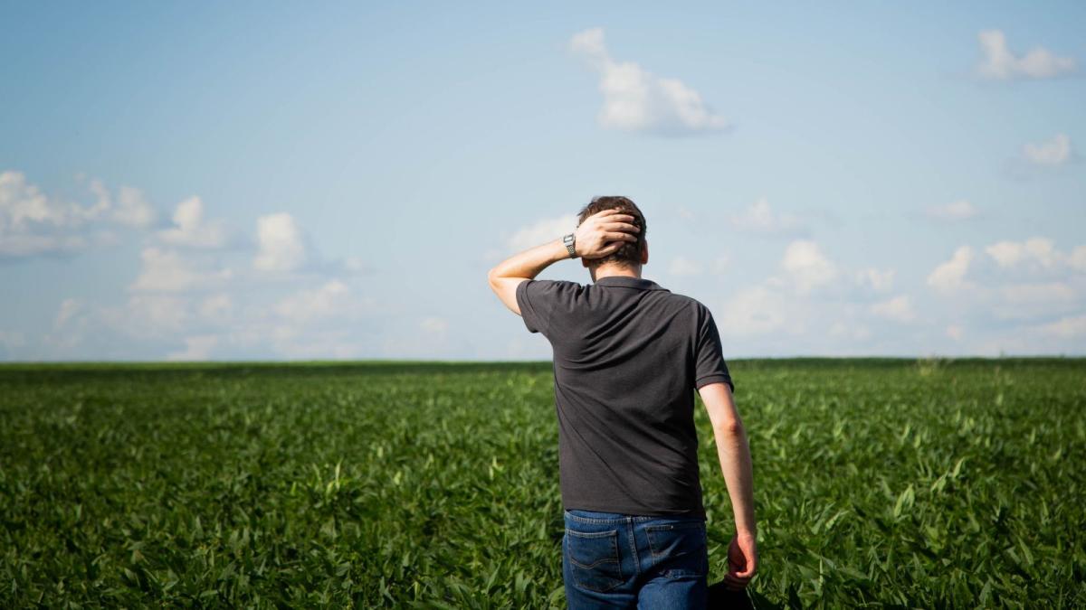 man facing away with hand on back of head looking out towards large crop field