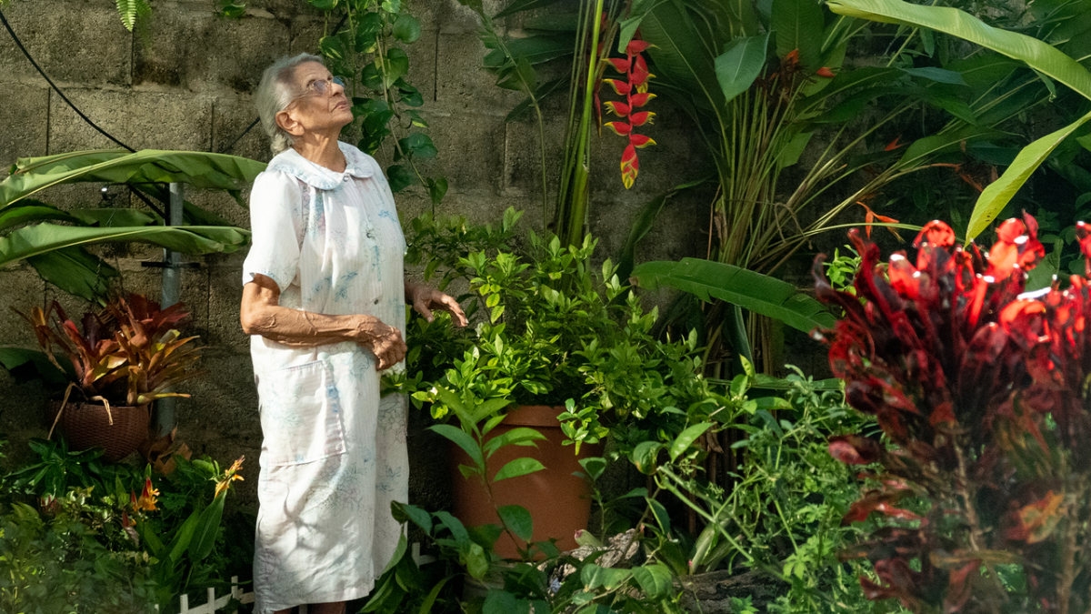 elderly woman in nightclothes standing in lush garden looking up at flowers