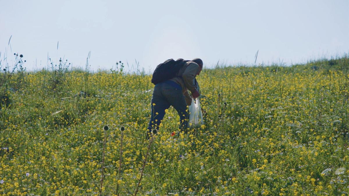man foraging in field