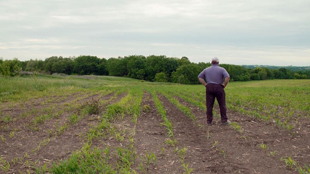 man facing away with hands on hip looking at open field