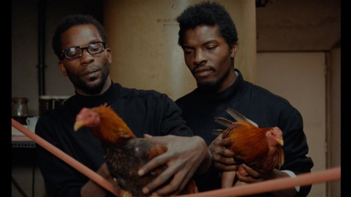 two men pulling chickens from pens