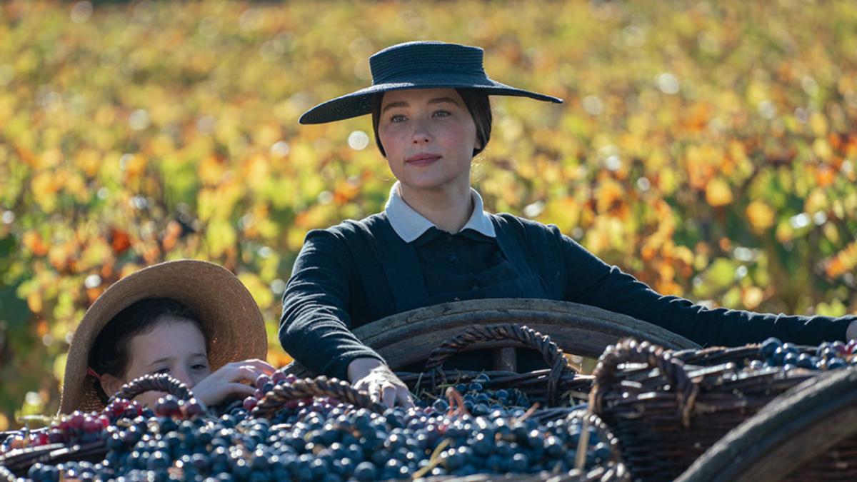 woman wearing hat in field of grapes