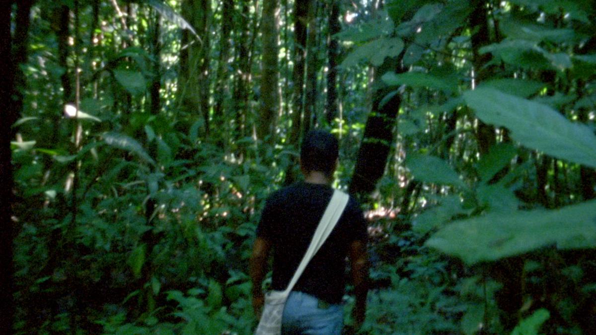 Laura Huertas Millán, The Labyrinth, 2018. Courtesy of the artist and Video Data Bank