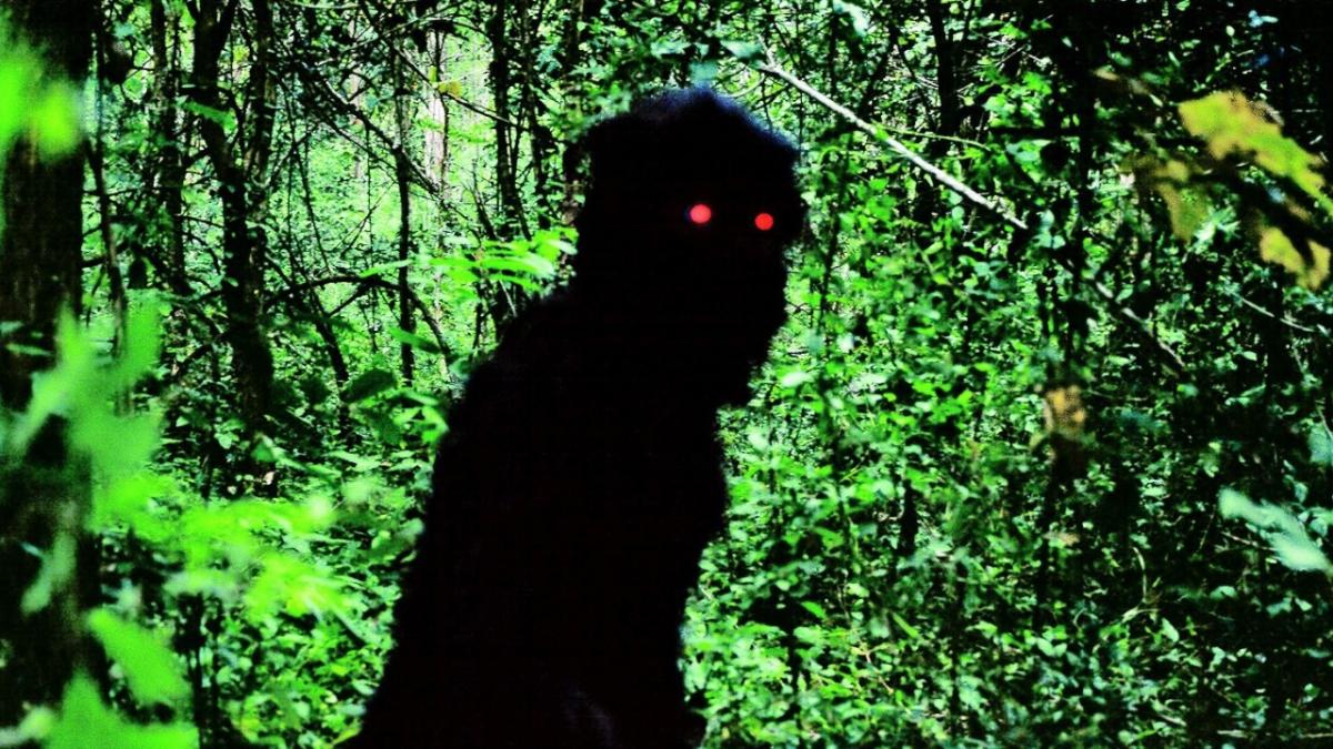 UNCLE BOONMEE WHO CAN RECALL HIS PAST LIVES, 2010, dark silhouette figure with red glowing eyes in front of lush green forest