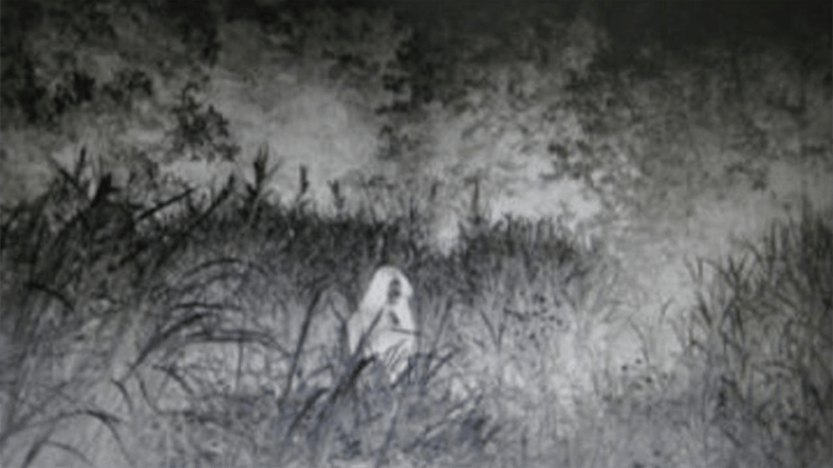 reverse black and white image of woman in forest