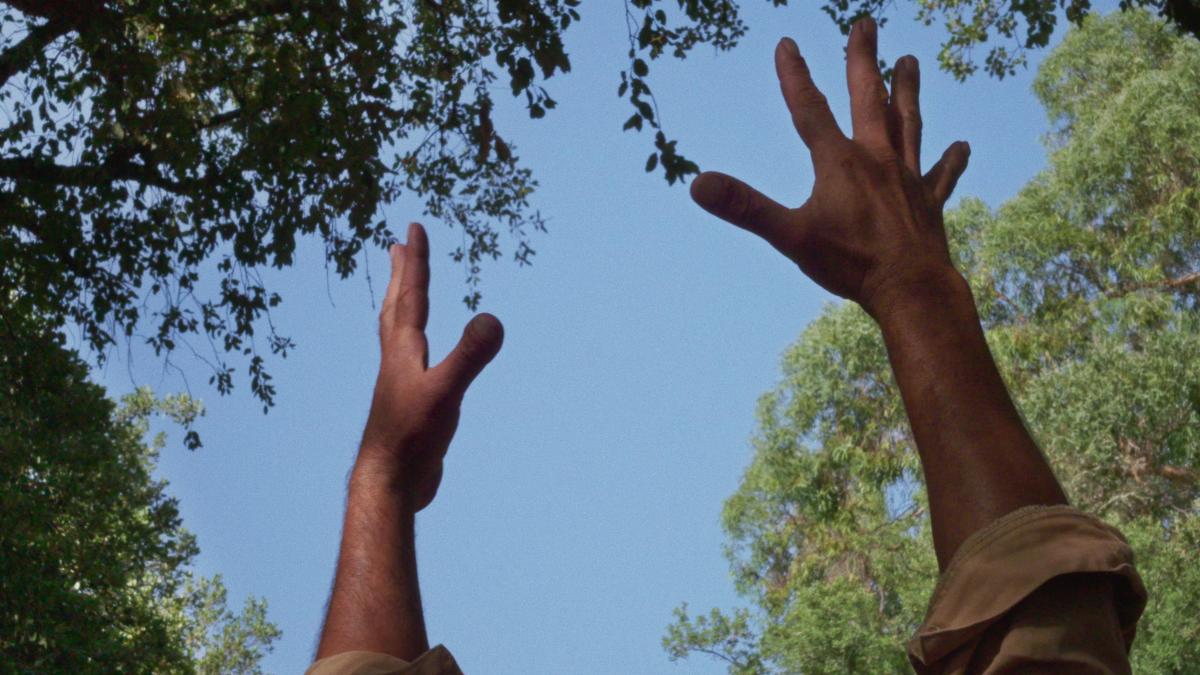 two arms outstretched towards the sky