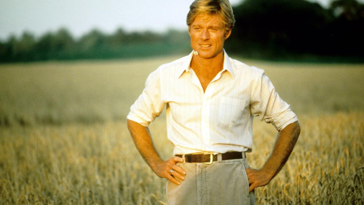 THE NATURAL, 1984, man in white button down shirt standing with hands on hips in sunny wheat field
