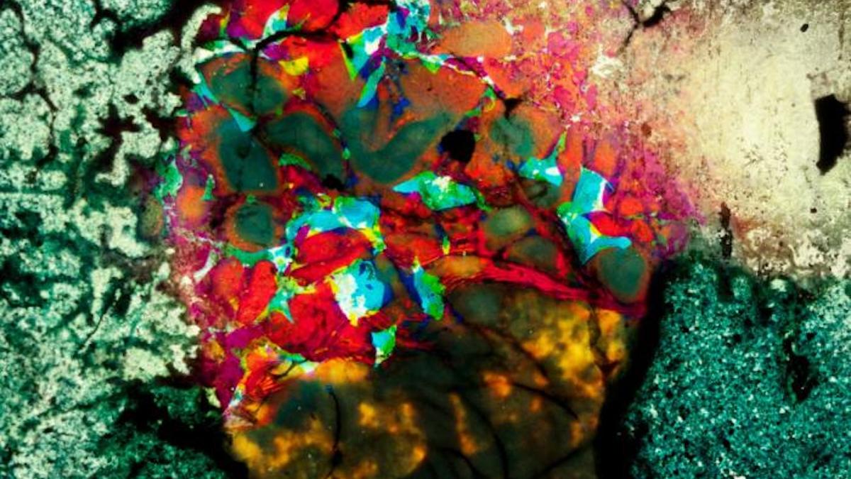 OFF CENTER: EXPERIMENTS IN EMULSION