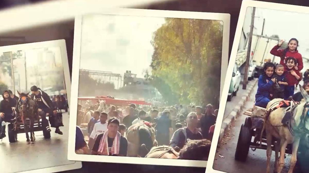 GAZAN TALES, 2025, three polaroid photos