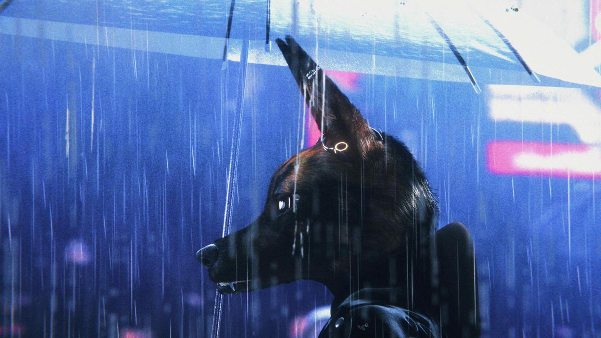 BOUCHRA, 2025, animated animal standing in rainy city street holding umbrella