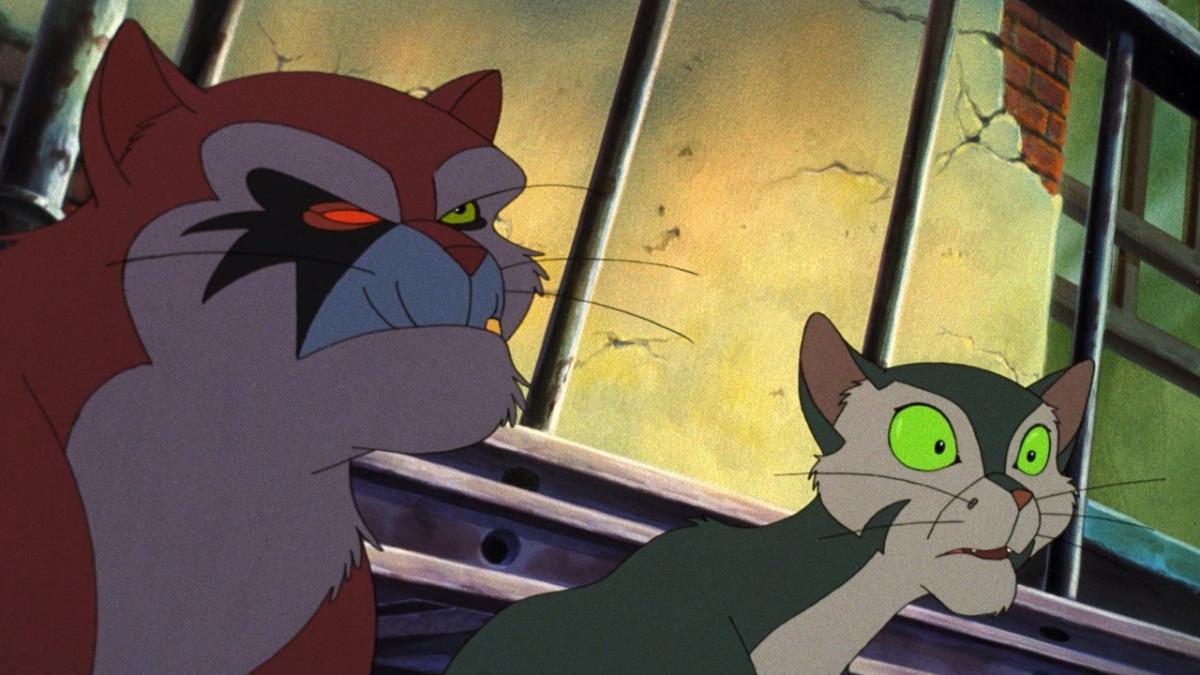 FELIDAE, 1994, two animated cats with wide eyes