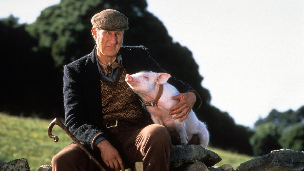 BABE, 1995, man in coat and hat seated outside on hill with small piglet in his lap