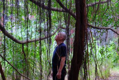 man standing under tree branches looking up