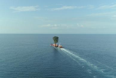 ship on the ocean carrying a large tree on deck