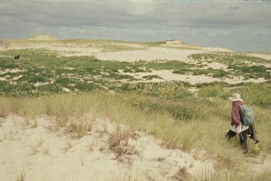 person walking through sandy hills and dunes wearing hiking gear with animal in background