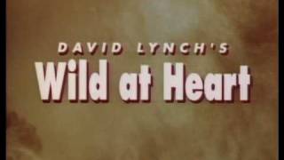 Wild at Heart — Chicago Cinema Circuit